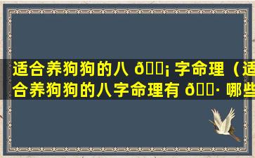 适合养狗狗的八 🐡 字命理（适合养狗狗的八字命理有 🌷 哪些）